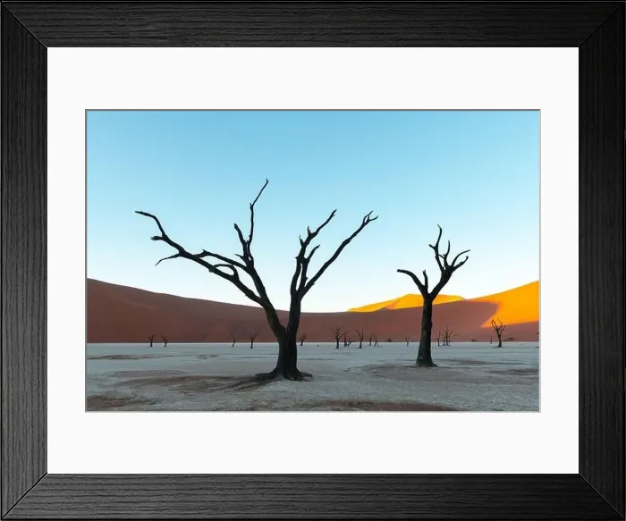 Framed Print : Dead Camelthorn Trees at sunrise Framed Print : Dead Camelthorn Trees at sunrise