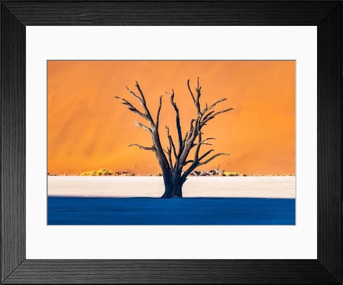 Framed Print : Dead Camelthorn Trees at sunrise Framed Print : Dead Camelthorn Trees at sunrise