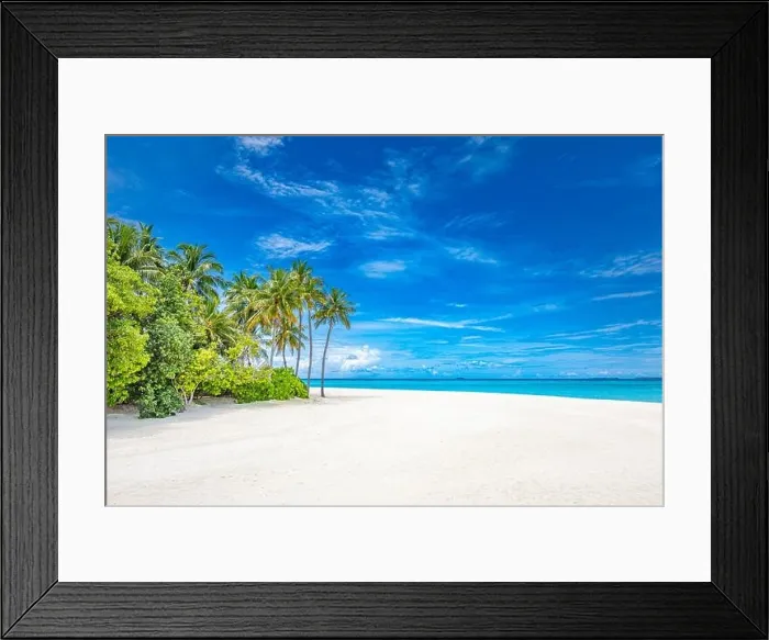 Framed Print : Amazing nature beach with palm trees and moody sky. Summer vacation travel holiday background concept. Maldives paradise beach. Luxury travel summer Framed Print : Amazing nature beach with palm trees and moody sky. Summer vacation travel holiday background concept. Maldives paradise beach. Luxury travel summer