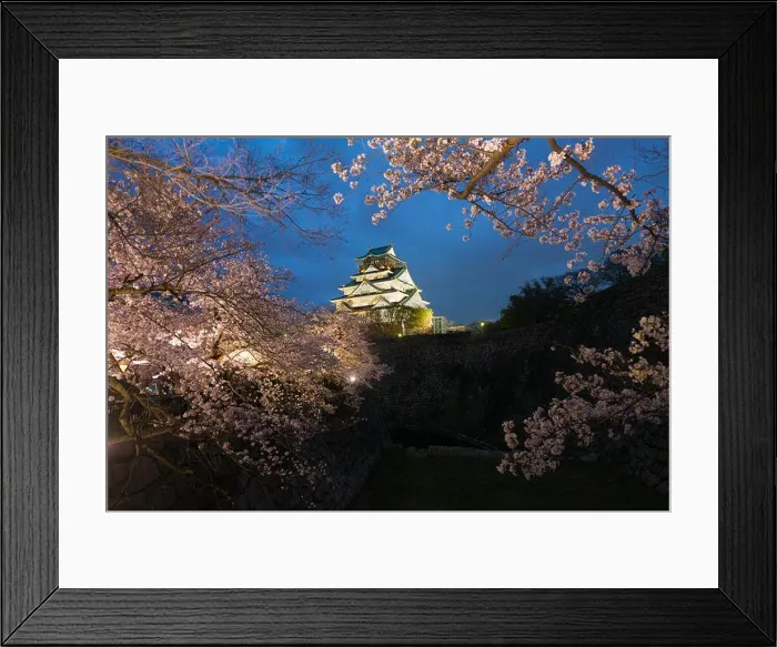 Framed Print : Japan landscape at dusk. Osaka Castle during the spring cherry blossom season flower at night in Osaka, Japan Framed Print : Japan landscape at dusk. Osaka Castle during the spring cherry blossom season flower at night in Osaka, Japan