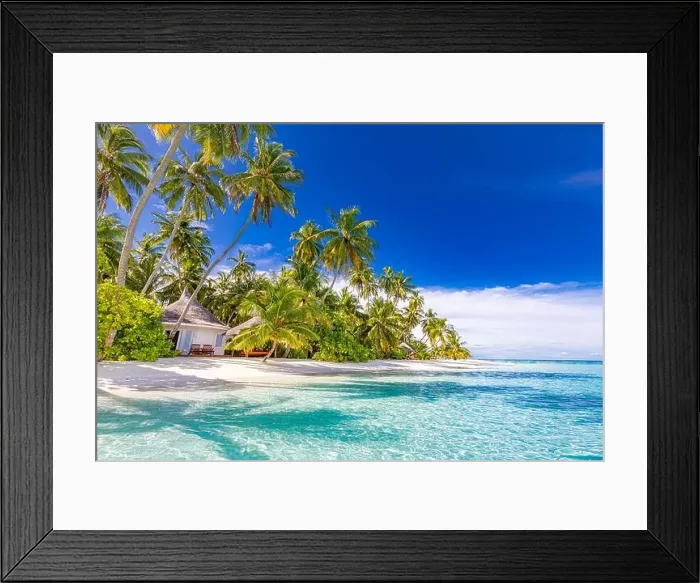 Framed Print : Amazing nature beach with palm trees and moody sky. Summer vacation travel holiday background concept. Maldives paradise beach. Luxury travel summer Framed Print : Amazing nature beach with palm trees and moody sky. Summer vacation travel holiday background concept. Maldives paradise beach. Luxury travel summer