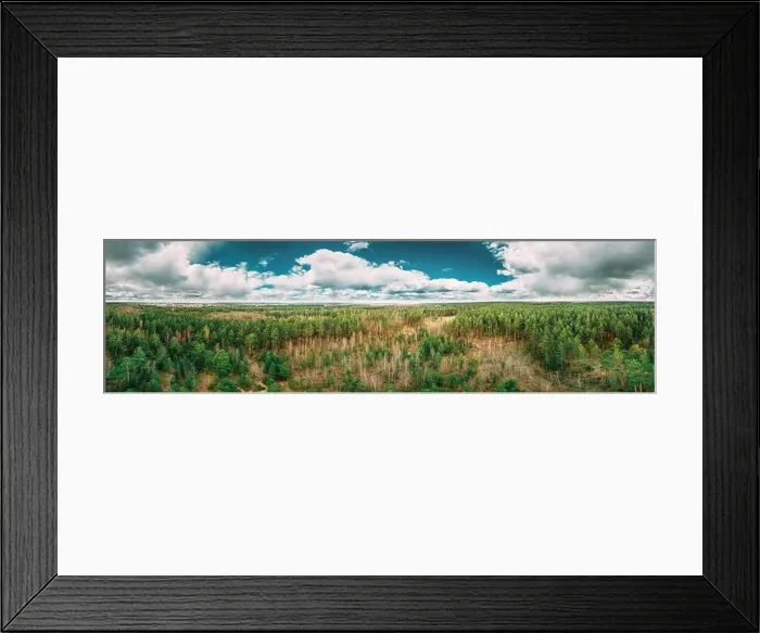 Framed Print : Aerial View Green Coniferous Forest Pines Woods Landscape In Early Spring Day. Top View Of Beautiful European Nature From Attitude. Drone View. Bird's