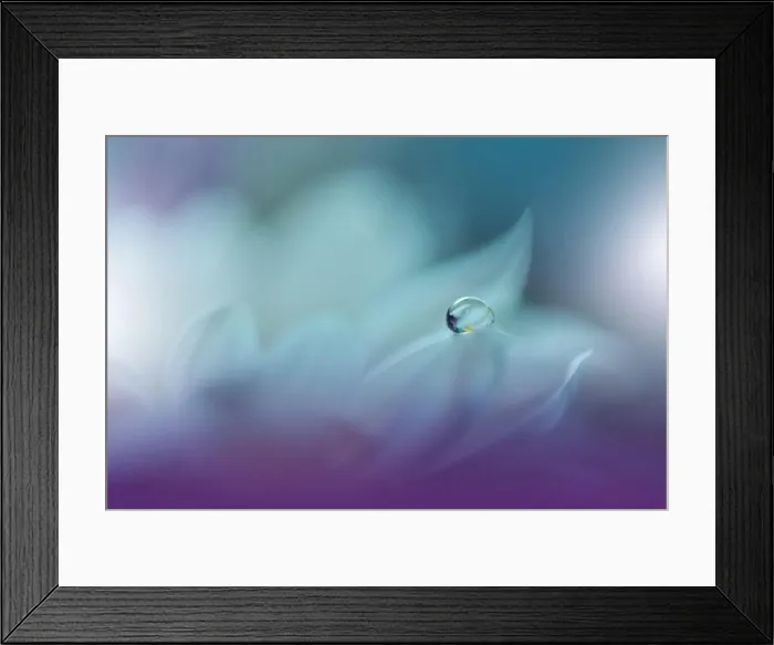 Framed Print : Beautiful Nature Background.Floral Art Design.Abstract Macro Photography.White Daisy Flower.Pastel Flowers.Violet Background.Creative Artistic Photo Framed Print : Beautiful Nature Background.Floral Art Design.Abstract Macro Photography.White Daisy Flower.Pastel Flowers.Violet Background.Creative Artistic Photo
