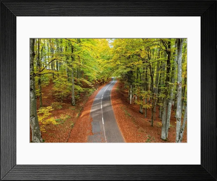 Framed Print : Road in the autumnal forest, top angle view Framed Print : Road in the autumnal forest, top angle view