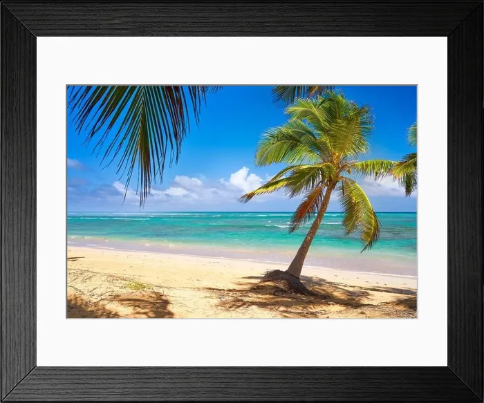 Framed Print : Punta Cana beach, Dominican Republic, Caribbean Framed Print : Punta Cana beach, Dominican Republic, Caribbean