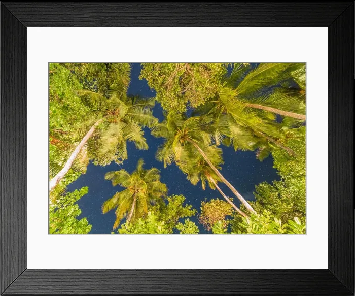 Framed Print : Fantastic tropical night sky and palm trees. Tropical landscape at night Framed Print : Fantastic tropical night sky and palm trees. Tropical landscape at night