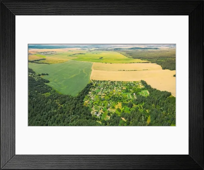 Framed Print : Countryside Rural Green Field Landscape With Young Wheat Sprouts And Forest In Spring Summer Cloudy Day. Agricultural Field. Young Wheat Shoots Framed Print : Countryside Rural Green Field Landscape With Young Wheat Sprouts And Forest In Spring Summer Cloudy Day. Agricultural Field. Young Wheat Shoots