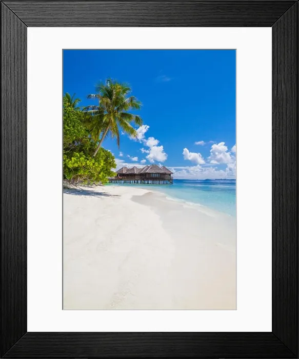 Framed Print : Fantastic Maldives beach background. Beautiful white sand beach and palm trees under blue sky. Luxury travel and vacation concept Framed Print : Fantastic Maldives beach background. Beautiful white sand beach and palm trees under blue sky. Luxury travel and vacation concept