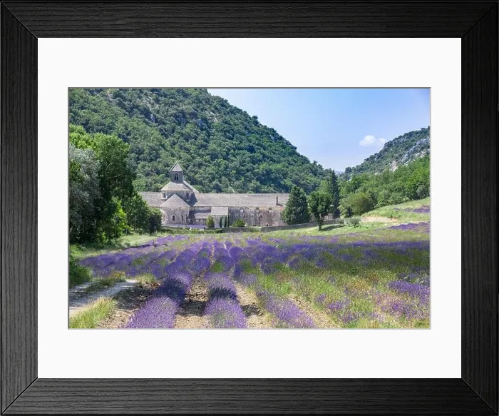 Framed Print : Abbey of Senanque and blooming rows lavender flowers on sunset. Gordes, Luberon, Vaucluse, Provence, France, Europe. Summer travel landscape, historic Framed Print : Abbey of Senanque and blooming rows lavender flowers on sunset. Gordes, Luberon, Vaucluse, Provence, France, Europe. Summer travel landscape, historic