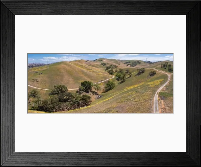Framed Print : California native oak trees grow in the valleys between rolling hills in the East Bay, not far east of San Francisco Bay Framed Print : California native oak trees grow in the valleys between rolling hills in the East Bay, not far east of San Francisco Bay