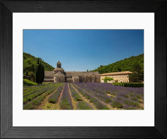 Framed Print : Abbey of Senanque and blooming rows lavender flowers on sunset. Gordes, Luberon, Vaucluse, Provence, France, Europe. Summer travel landscape, historic Framed Print : Abbey of Senanque and blooming rows lavender flowers on sunset. Gordes, Luberon, Vaucluse, Provence, France, Europe. Summer travel landscape, historic