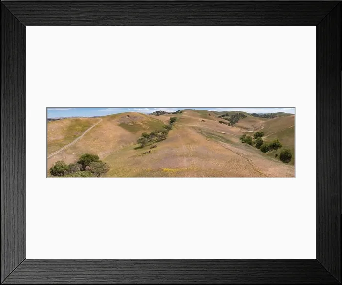 Framed Print : California native oak trees grow in the valleys between rolling hills in the East Bay, not far east of San Francisco Bay Framed Print : California native oak trees grow in the valleys between rolling hills in the East Bay, not far east of San Francisco Bay