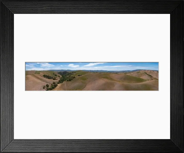 Framed Print : California native oak trees grow in the valleys between rolling hills in the East Bay, not far east of San Francisco Bay Framed Print : California native oak trees grow in the valleys between rolling hills in the East Bay, not far east of San Francisco Bay