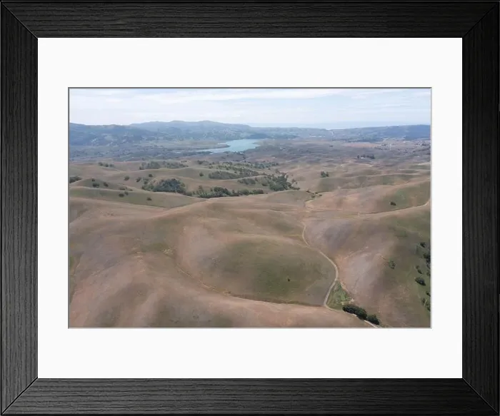 Framed Print : California native oak trees grow in the valleys between rolling hills in the East Bay, not far east of San Francisco Bay Framed Print : California native oak trees grow in the valleys between rolling hills in the East Bay, not far east of San Francisco Bay