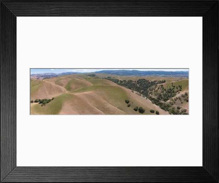 Framed Print : California native oak trees grow in the valleys between rolling hills in the East Bay, not far east of San Francisco Bay Framed Print : California native oak trees grow in the valleys between rolling hills in the East Bay, not far east of San Francisco Bay