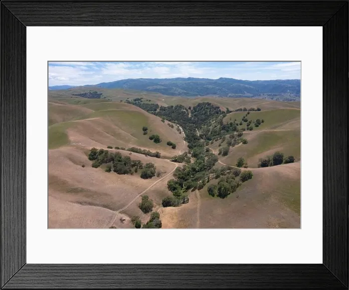 Framed Print : California native oak trees grow in the valleys between rolling hills in the East Bay, not far east of San Francisco Bay Framed Print : California native oak trees grow in the valleys between rolling hills in the East Bay, not far east of San Francisco Bay
