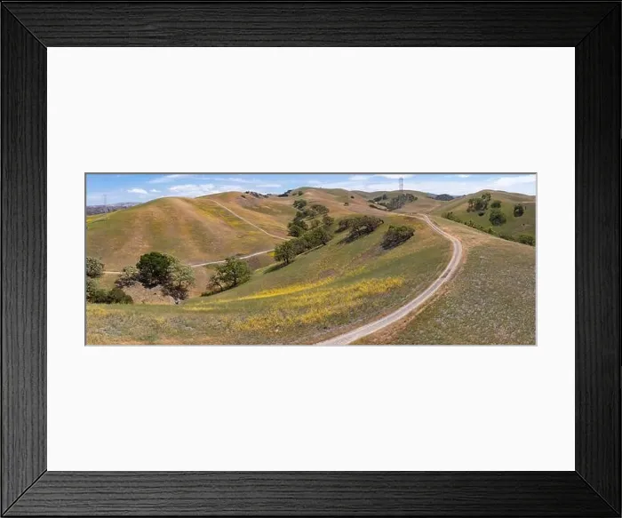 Framed Print : California native oak trees grow in the valleys between rolling hills in the East Bay, not far east of San Francisco Bay Framed Print : California native oak trees grow in the valleys between rolling hills in the East Bay, not far east of San Francisco Bay