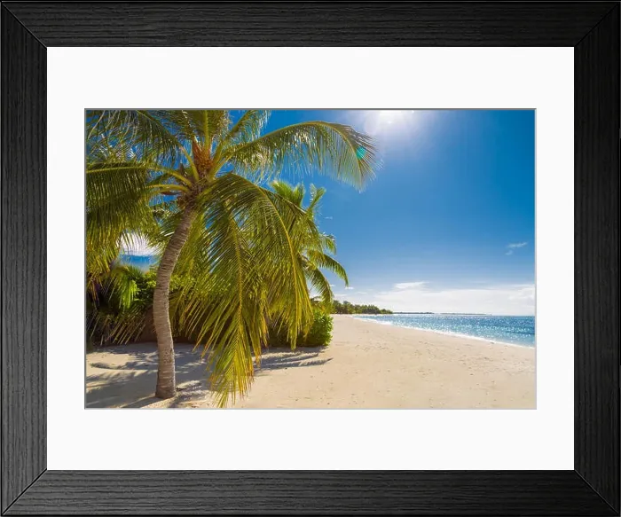 Framed Print : Beautiful beach background sun rays and palm trees on sandy beach Framed Print : Beautiful beach background sun rays and palm trees on sandy beach