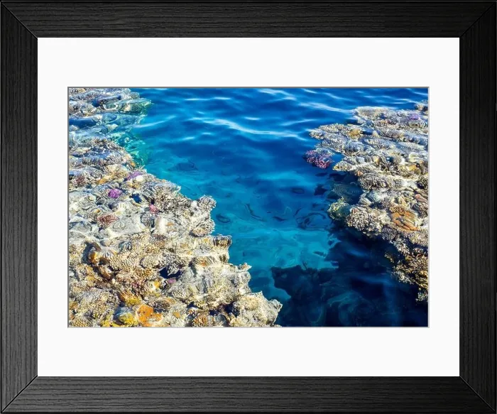 Framed Print : Coral reef in blue water of Red Sea Framed Print : Coral reef in blue water of Red Sea