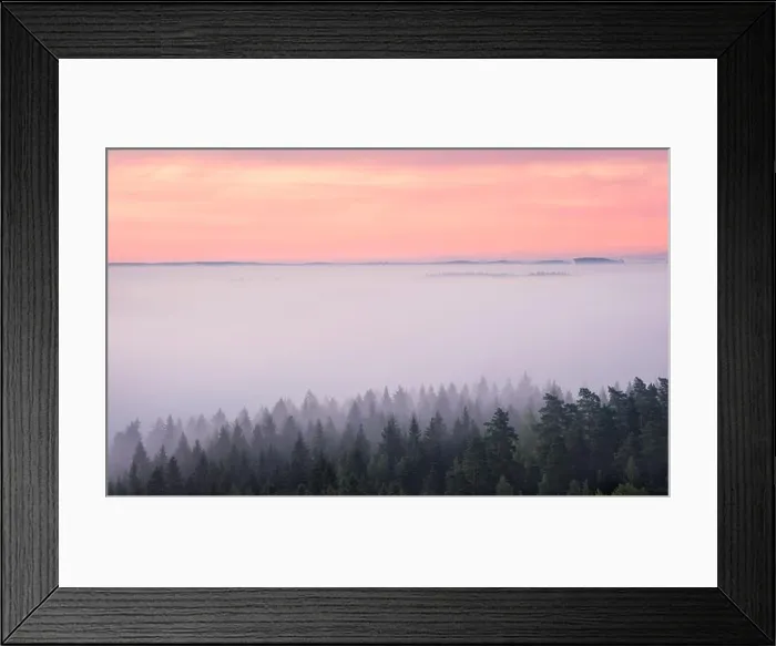 Framed Print : Scenic foggy landscape with mood forest at summer morning at National park, Finland. High angle aerial view Framed Print : Scenic foggy landscape with mood forest at summer morning at National park, Finland. High angle aerial view