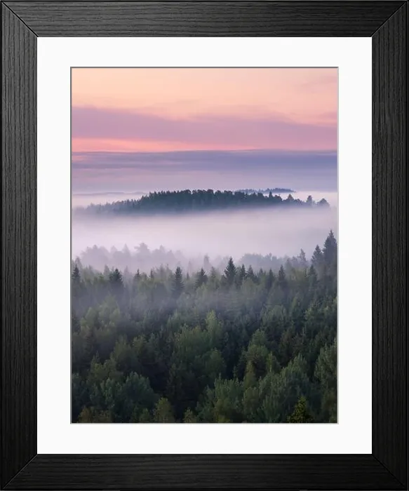 Framed Print : Scenic foggy landscape with mood forest at summer morning at National park, Finland. High angle aerial view Framed Print : Scenic foggy landscape with mood forest at summer morning at National park, Finland. High angle aerial view
