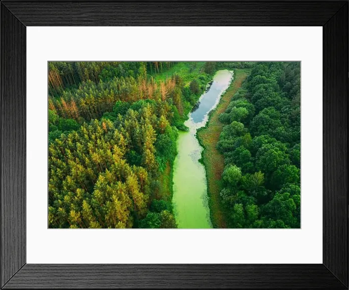 Framed Print : Elevated View Of Green Small Bog Marsh Swamp Wetland And Green Forest Landscape In Sunny Summer Day. Attitude View. Forest In Bird's Eye View Framed Print : Elevated View Of Green Small Bog Marsh Swamp Wetland And Green Forest Landscape In Sunny Summer Day. Attitude View. Forest In Bird's Eye View