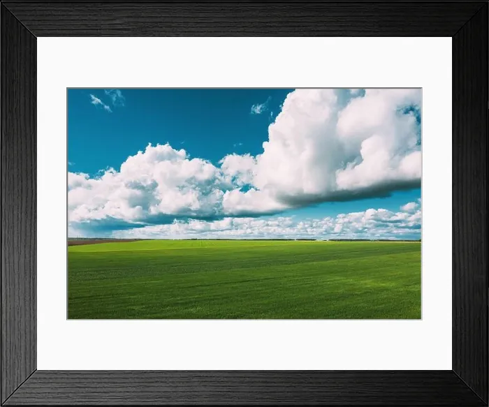 Framed Print : Countryside Rural Green Field Landscape With Young Wheat Sprouts In Spring Summer Cloudy Day. Agricultural Field. Young Wheat Shoots. Aerial View Framed Print : Countryside Rural Green Field Landscape With Young Wheat Sprouts In Spring Summer Cloudy Day. Agricultural Field. Young Wheat Shoots. Aerial View