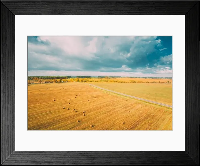 Framed Print : Aerial View Of Autumn Hay Rolls Straw Field Landscape. Haystacks, Hay Rolls. Harvest Season Framed Print : Aerial View Of Autumn Hay Rolls Straw Field Landscape. Haystacks, Hay Rolls. Harvest Season
