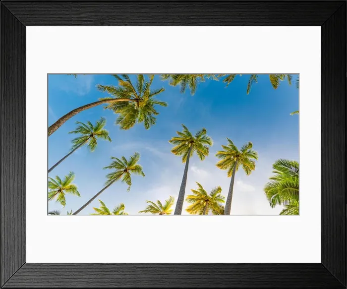 Framed Print : Tropical trees background concept. Palm trees and blue sky, tranquil exotic nature Framed Print : Tropical trees background concept. Palm trees and blue sky, tranquil exotic nature