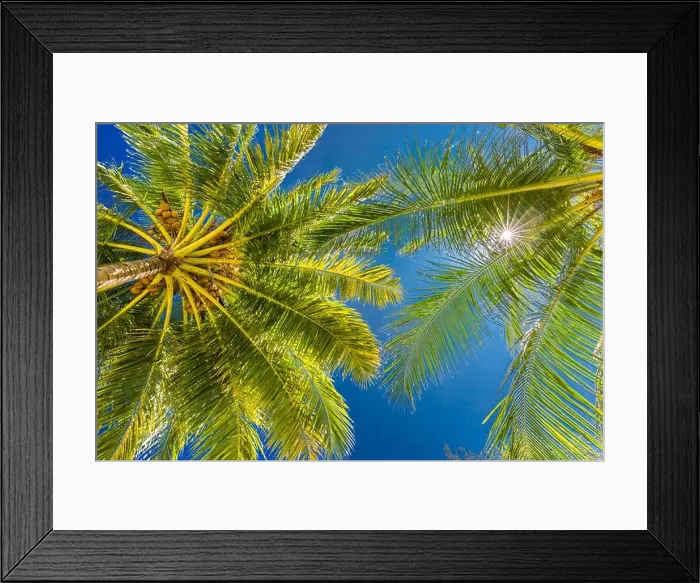 Framed Print : Tropical trees background concept. Palm trees and blue sky, tranquil exotic nature Framed Print : Tropical trees background concept. Palm trees and blue sky, tranquil exotic nature