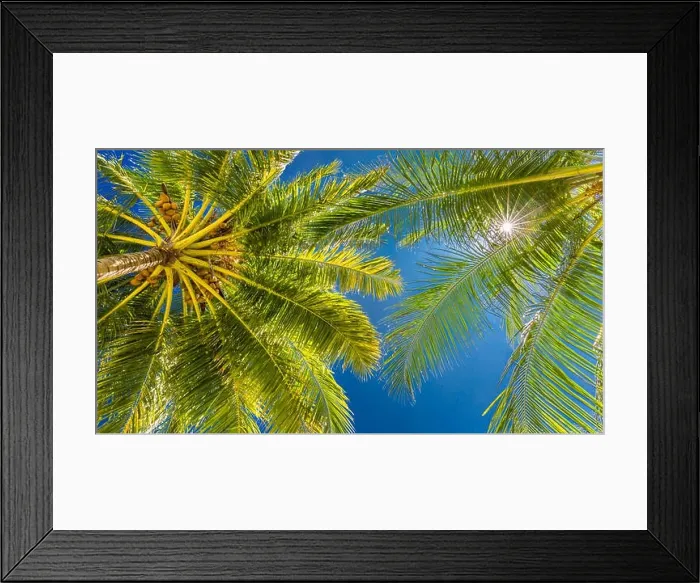 Framed Print : Tropical trees background concept. Palm trees and blue sky, tranquil exotic nature Framed Print : Tropical trees background concept. Palm trees and blue sky, tranquil exotic nature