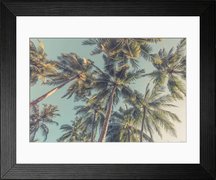 Framed Print : Tropical trees background concept. Palm trees and blue sky, tranquil exotic nature Framed Print : Tropical trees background concept. Palm trees and blue sky, tranquil exotic nature