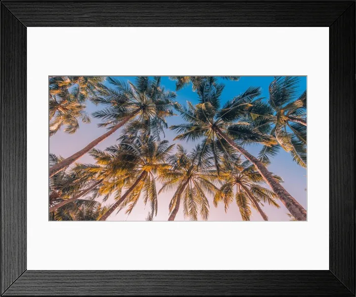 Framed Print : Tropical trees background concept. Palm trees and blue sky, tranquil exotic nature Framed Print : Tropical trees background concept. Palm trees and blue sky, tranquil exotic nature