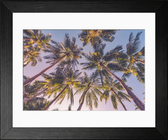 Framed Print : Tropical trees background concept. Palm trees and blue sky, tranquil exotic nature Framed Print : Tropical trees background concept. Palm trees and blue sky, tranquil exotic nature