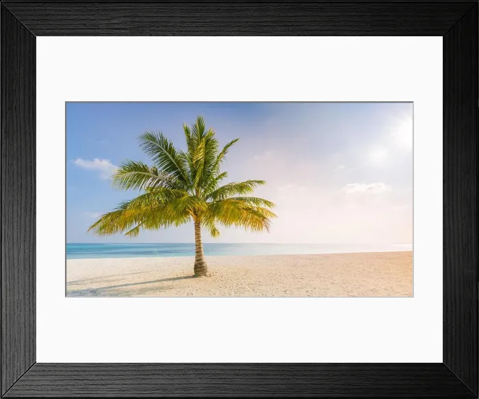 Framed Print : Palm on the beach, sunny day at the beach, calm landscape of seashore, tranquil tropical nature Framed Print : Palm on the beach, sunny day at the beach, calm landscape of seashore, tranquil tropical nature