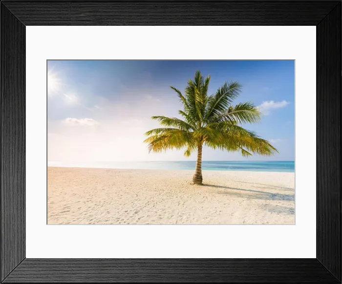 Framed Print : Palm on the beach, sunny day at the beach, calm landscape of seashore, tranquil tropical nature Framed Print : Palm on the beach, sunny day at the beach, calm landscape of seashore, tranquil tropical nature