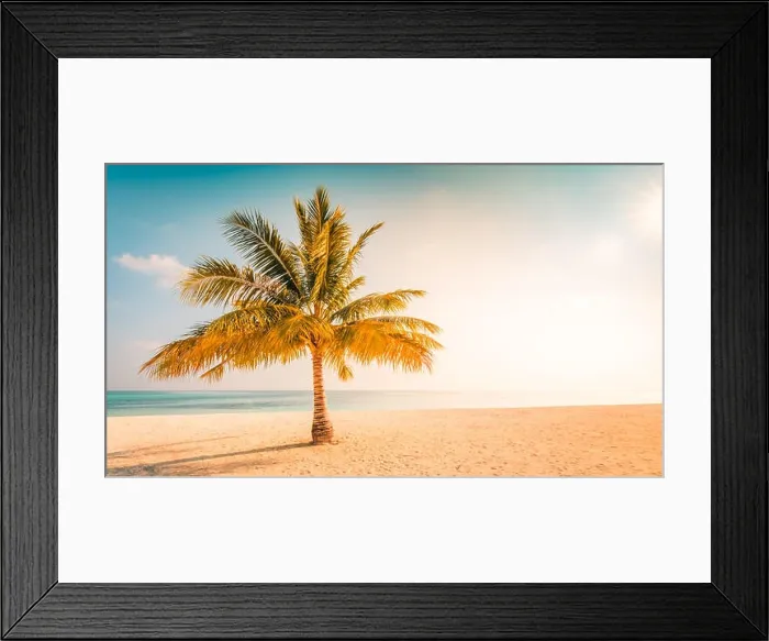 Framed Print : Palm on the beach, sunny day at the beach, calm landscape of seashore, tranquil tropical nature Framed Print : Palm on the beach, sunny day at the beach, calm landscape of seashore, tranquil tropical nature