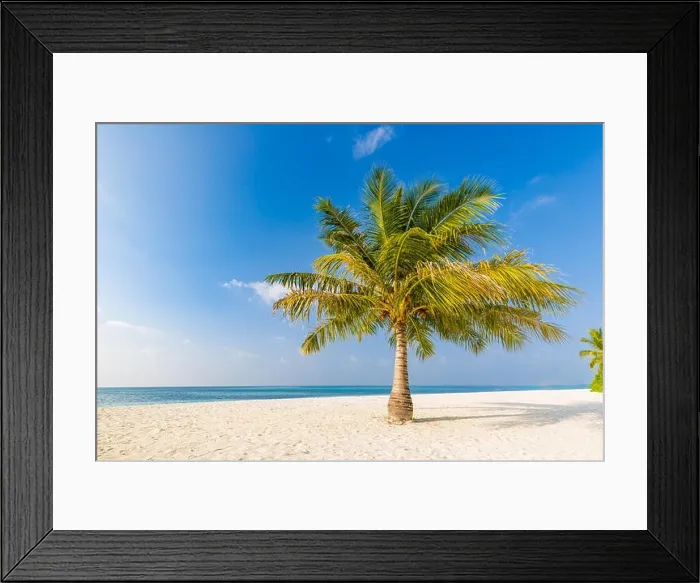 Framed Print : Palm on the beach, sunny day at the beach, calm landscape of seashore, tranquil tropical nature Framed Print : Palm on the beach, sunny day at the beach, calm landscape of seashore, tranquil tropical nature