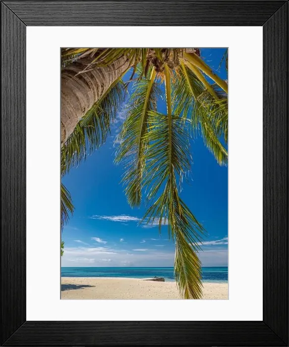 Framed Print : Beautiful tropical beach banner. White sand and coco palms travel tourism panorama. Amazing inspire beach landscape. Luxury island vacation holiday Framed Print : Beautiful tropical beach banner. White sand and coco palms travel tourism panorama. Amazing inspire beach landscape. Luxury island vacation holiday