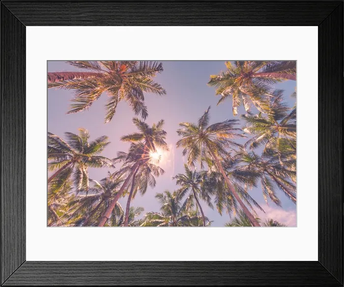 Framed Print : Tropical trees background concept. Palm trees and blue sky, tranquil exotic nature Framed Print : Tropical trees background concept. Palm trees and blue sky, tranquil exotic nature