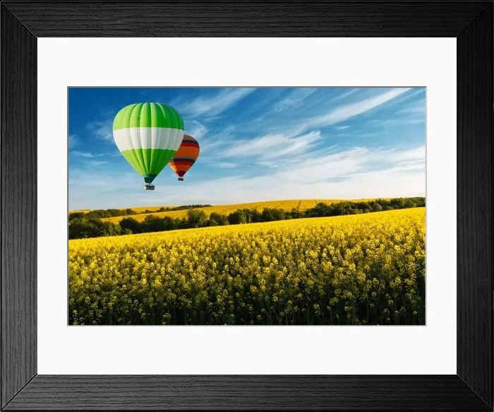Framed Print : Yellow rape field on blue sky background Framed Print : Yellow rape field on blue sky background