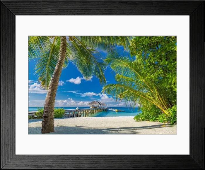Framed Print : Beautiful tropical Maldives island with beach sea coconut palm tree on blue sky nature holiday vacation background concept. Luxury travel landscape