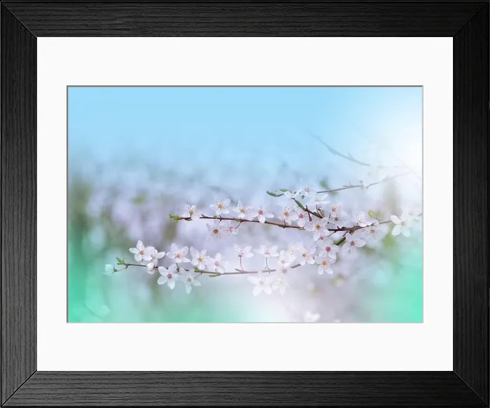 Framed Print : Beautiful Nature Background.Floral Art Design.Abstract Macro Photography.Colorful Flower.Blooming Spring Flowers.Creative Artistic Wallpaper.Blue Sky Framed Print : Beautiful Nature Background.Floral Art Design.Abstract Macro Photography.Colorful Flower.Blooming Spring Flowers.Creative Artistic Wallpaper.Blue Sky