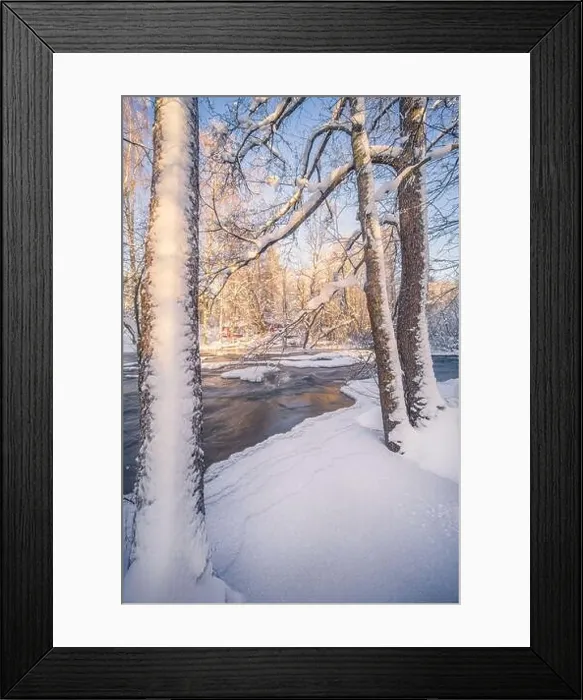Framed Print : Scenic winter landscape with flowing river and morning light in Finland. Snowy trees Framed Print : Scenic winter landscape with flowing river and morning light in Finland. Snowy trees