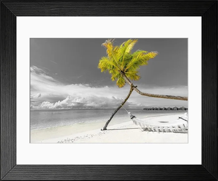 Framed Print : Selective color tropical beach background as summer landscape with beach swing or hammock monochrome beach banner. Perfect beach scene vacation Framed Print : Selective color tropical beach background as summer landscape with beach swing or hammock monochrome beach banner. Perfect beach scene vacation