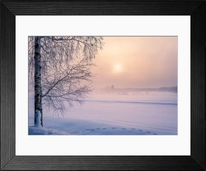 Framed Print : Scenic winter landscape with lonely scow covered tree and sunrise at morning time in Finland Framed Print : Scenic winter landscape with lonely scow covered tree and sunrise at morning time in Finland