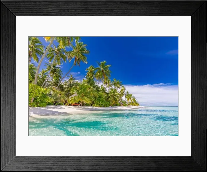 Framed Print : Amazing nature beach with palm trees and moody sky. Summer vacation travel holiday background concept. Maldives paradise beach. Luxury travel summer Framed Print : Amazing nature beach with palm trees and moody sky. Summer vacation travel holiday background concept. Maldives paradise beach. Luxury travel summer