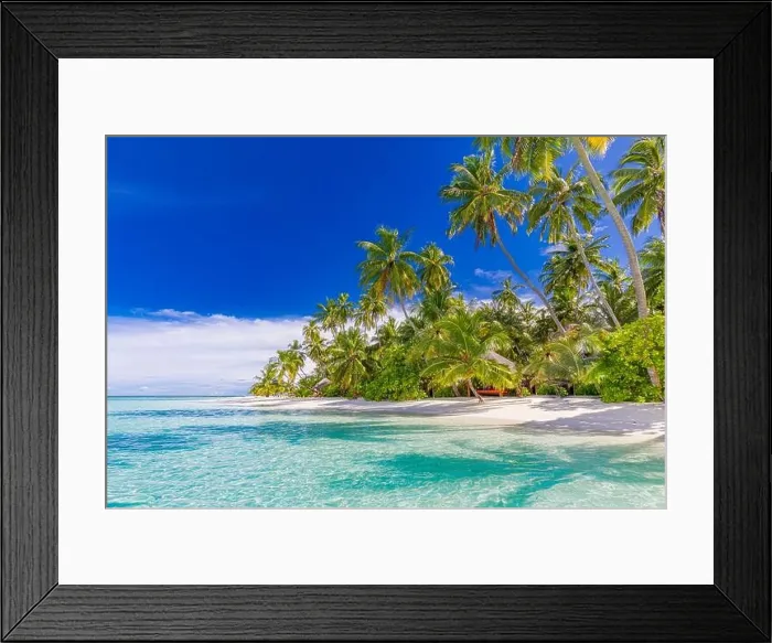 Framed Print : Amazing nature beach with palm trees and moody sky. Summer vacation travel holiday background concept. Maldives paradise beach. Luxury travel summer Framed Print : Amazing nature beach with palm trees and moody sky. Summer vacation travel holiday background concept. Maldives paradise beach. Luxury travel summer