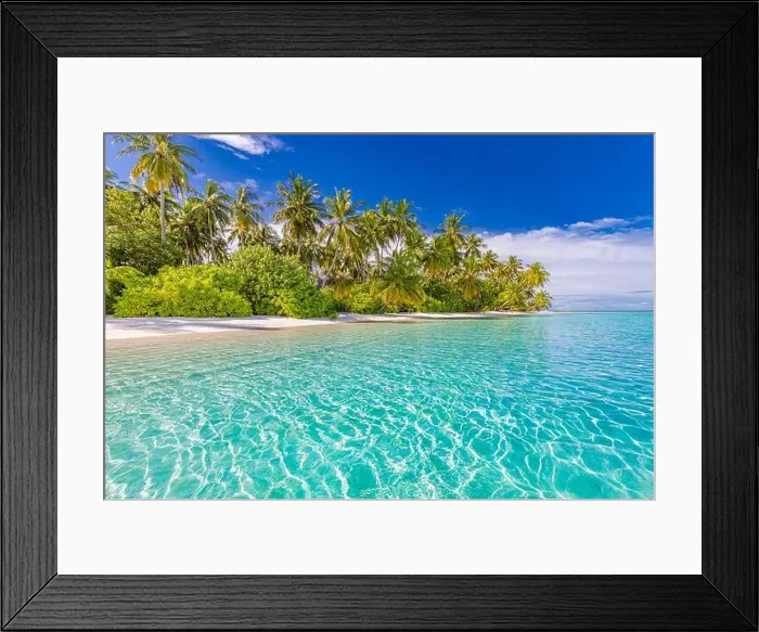 Framed Print : Amazing nature beach with palm trees and moody sky. Summer vacation travel holiday background concept. Maldives paradise beach. Luxury travel summer Framed Print : Amazing nature beach with palm trees and moody sky. Summer vacation travel holiday background concept. Maldives paradise beach. Luxury travel summer