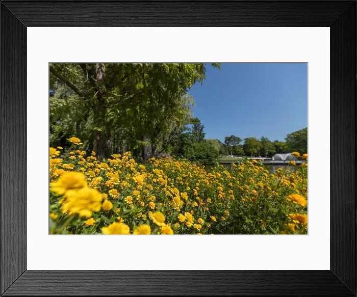 Framed Print : Summer park landscape, flowers trees with water fountain. Beautiful spring flowers near pond Framed Print : Summer park landscape, flowers trees with water fountain. Beautiful spring flowers near pond